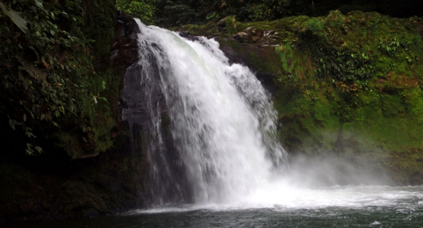 a waterfall flows over moss covered rock